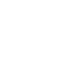 Rotating Chakra